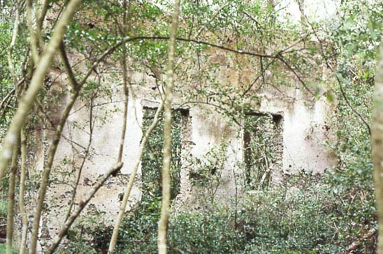 Riverside-Plantation-Tabby-Ruins