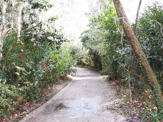 Magnolia-Plantation-and-Gardens