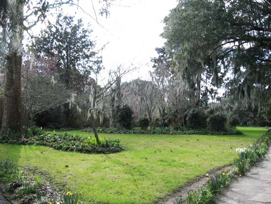 Magnolia-Plantation-and-Gardens