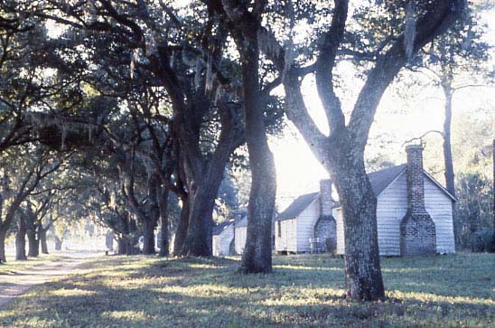 McLeod-Plantation
