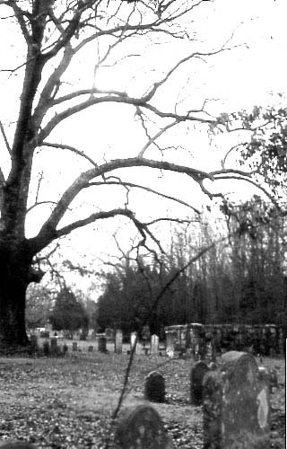 Waxhaw-Presbyterian-Church-Cemetery